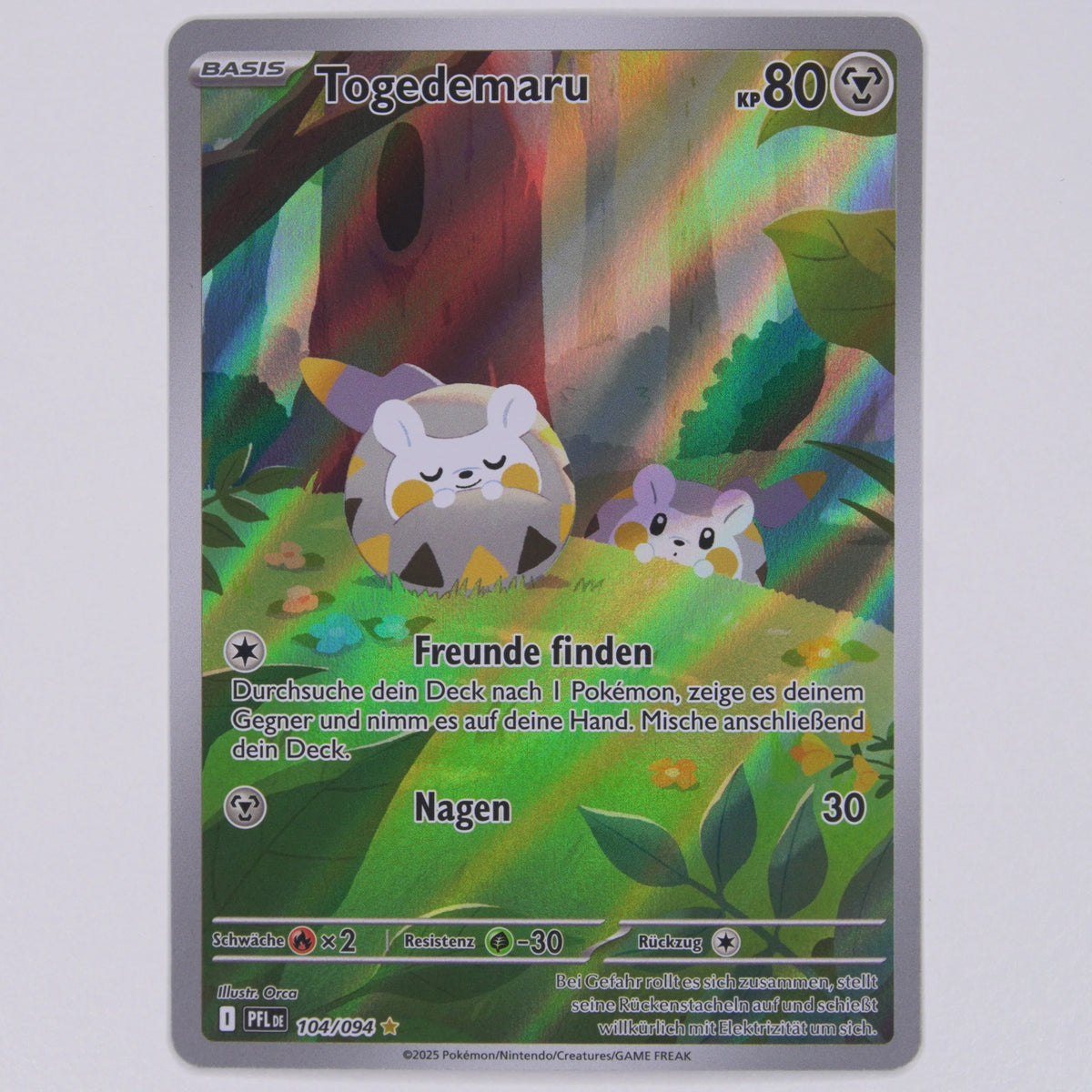 Vorderseite von Togedemaru 104/094 in Near Mint